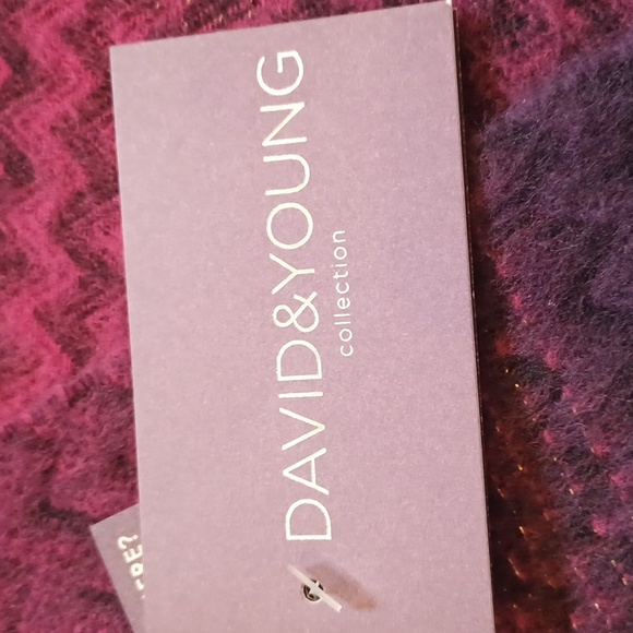 NWT David & Young Softer Than Cashmere Ombre Oversized Fringed Blanket Wrap - Picture 3 of 9